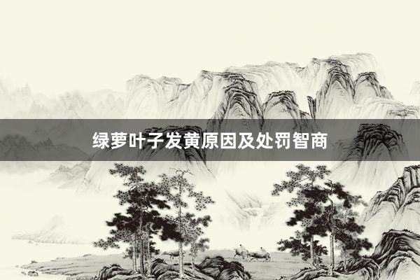 绿萝叶子发黄原因及处罚智商